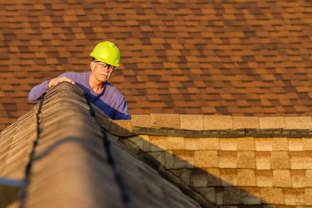 Best Roof Gutter Cleaning  in Garfield Heights, OH