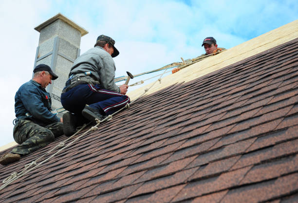 Best Roof Maintenance Services  in Garfield Heights, OH